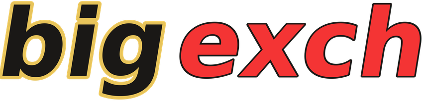 bigexch logo